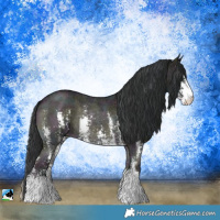 Horse Color:Midnight Blue Onyx Sabino Rabicano 