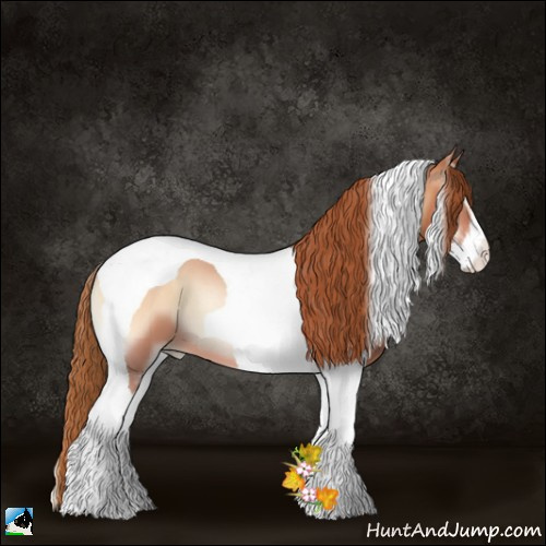 Horse Color:Bay Pearl Onyx Sabino Tobiano 