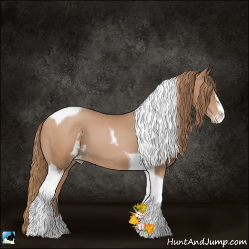 Horse Color:Black Pearl Sabino Tobiano 