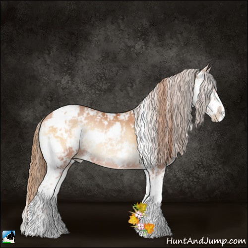 Horse Color:Bay Pearl Onyx Sabino 