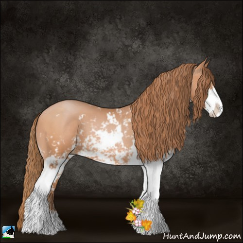 Horse Color:Bay Pearl Sabino 