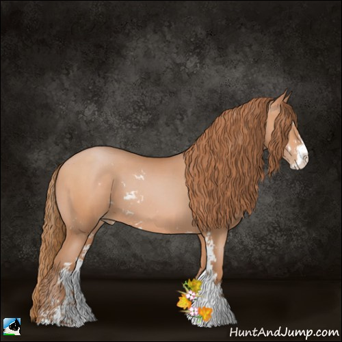 Horse Color:Bay Pearl Sabino 