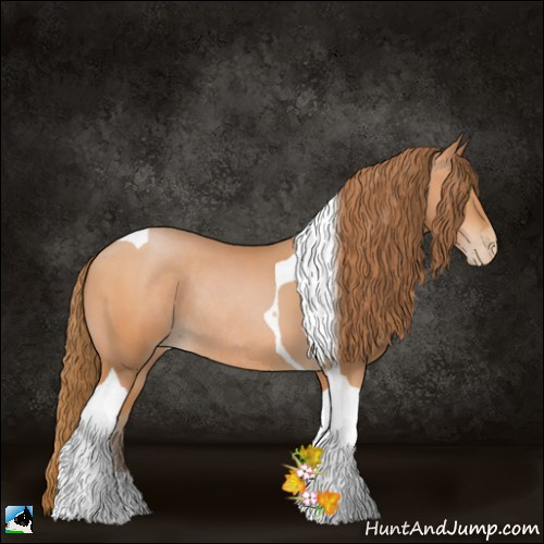 Horse Color:Bay Pearl Sabino Tobiano Rabicano 