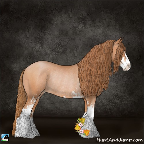 Horse Color:Bay Pearl Sabino Rabicano 