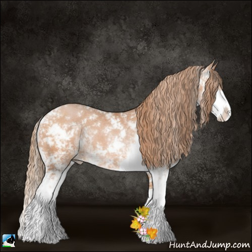 Horse Color:Bay Pearl Sabino 