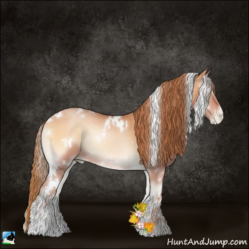 Horse Color:White Spotted Bay Pearl Onyx Sabino 