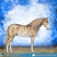 Horse Color:Chocolate Palomino Dun Sabino Rabicano Brindle 