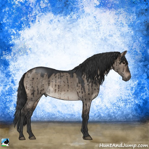 Horse Color:Brown Dun Brindle 