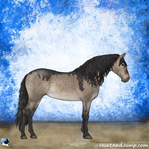 Horse Color:Brown Dun Rabicano