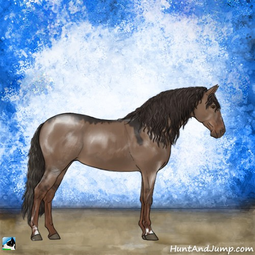 Horse Color:Liver Red Dun Sabino 