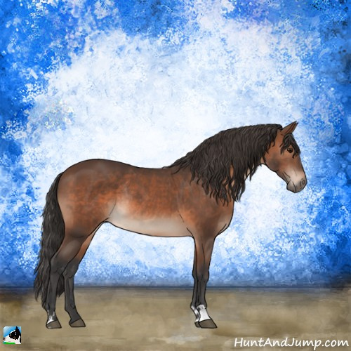Horse Color:Brown Mushroom Rabicano 