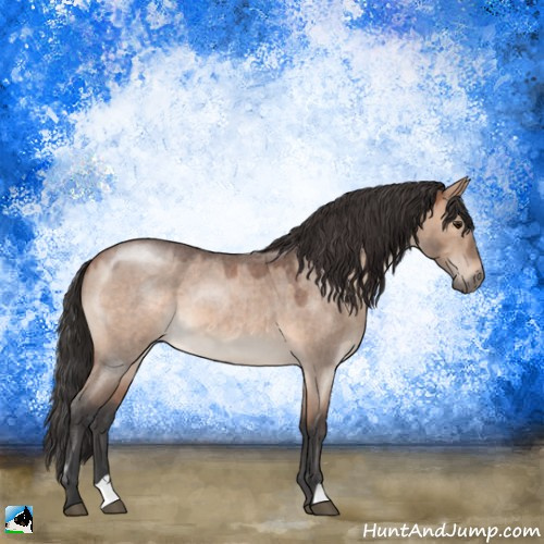 Horse Color:Bay Roan Dun Mushroom 