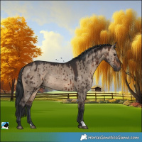 Horse Color:Brown Dun Rabicano Brindle 
