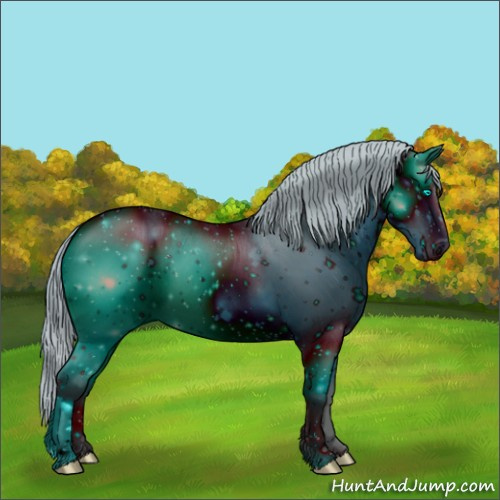 Horse Color:ERROR: UNKNOWN ANOMALY
