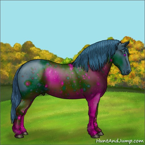 Horse Color:ERROR: UNKNOWN ANOMALY