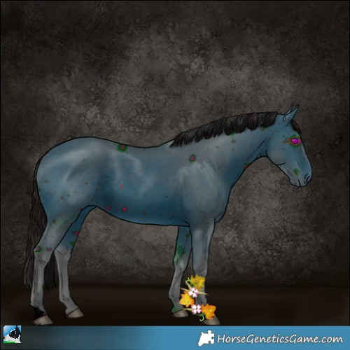 Horse Color:ERROR: UNKNOWN ANOMALY