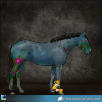 Horse Color:ERROR: UNKNOWN ANOMALY