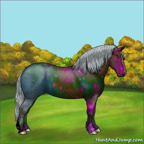 Horse Color:ERROR: UNKNOWN ANOMALY