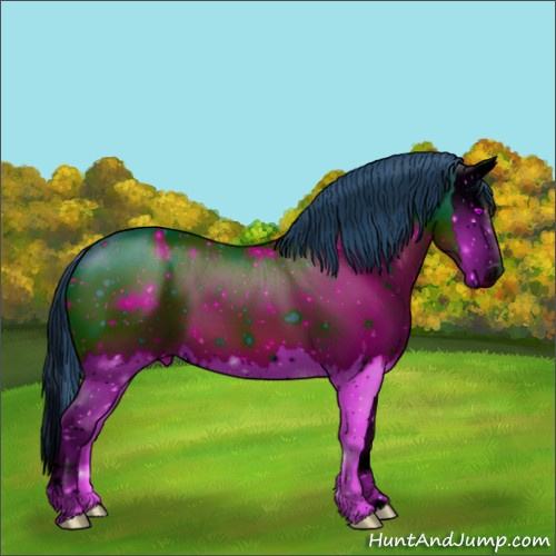 Horse Color:ERROR: UNKNOWN ANOMALY
