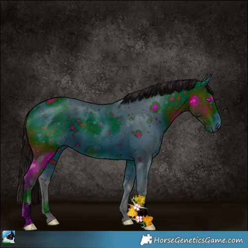 Horse Color:ERROR: UNKNOWN ANOMALY