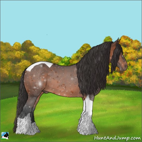 Horse Color:Brown Tobiano 