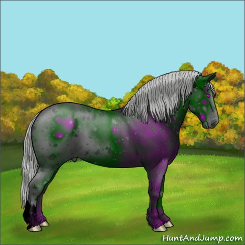 Horse Color:ERROR: UNKNOWN ANOMALY