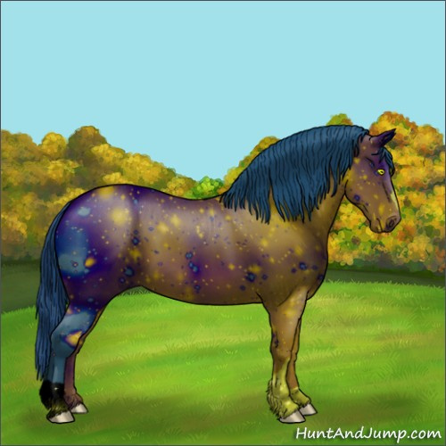 Horse Color:ERROR: UNKNOWN ANOMALY