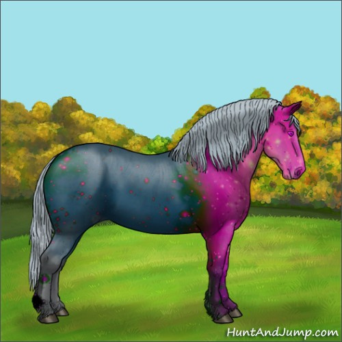 Horse Color:ERROR: UNKNOWN ANOMALY