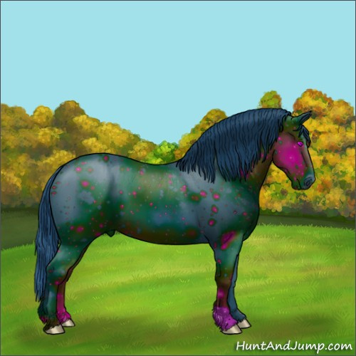 Horse Color:ERROR: UNKNOWN ANOMALY