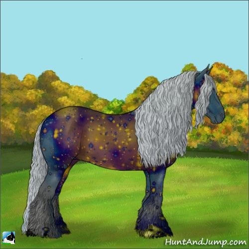 Horse Color:ERROR: UNKNOWN ANOMALY