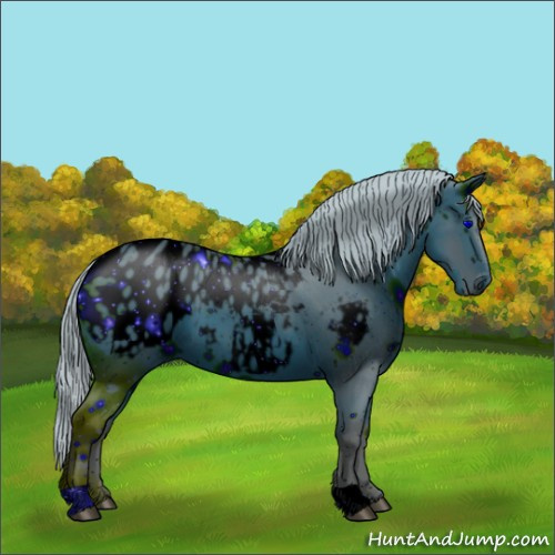 Horse Color:ERROR: UNKNOWN ANOMALY