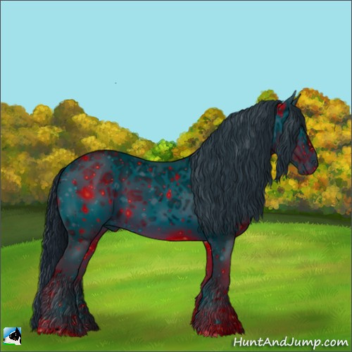 Horse Color:ERROR: UNKNOWN ANOMALY
