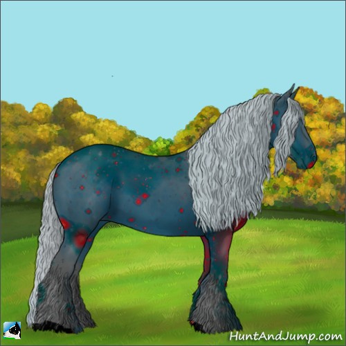 Horse Color:ERROR: UNKNOWN ANOMALY