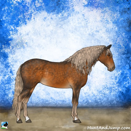 Horse Color:Chocolate Palomino Rabicano 