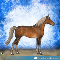 Horse Color:Chocolate Palomino Rabicano 