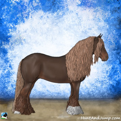 Horse Color:Liver Chestnut 
