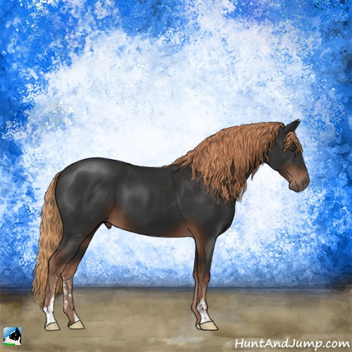 Horse Color:Liver Chestnut Sabino 