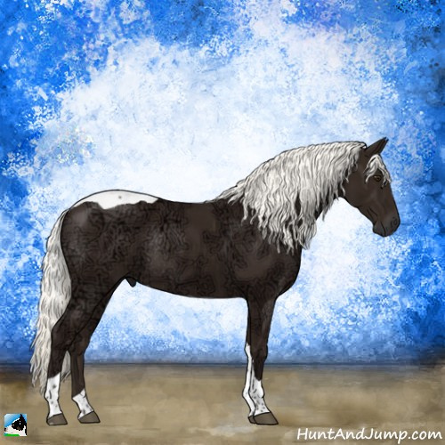 Horse Color:Liver Chestnut Ice Mushroom Tobiano Rabicano 