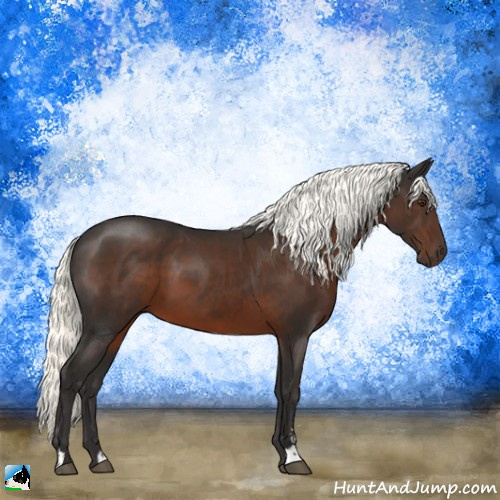 Horse Color:Liver Chestnut Mushroom Sabino 