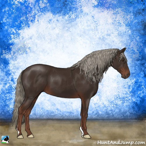 Horse Color:Liver Chestnut Mushroom 