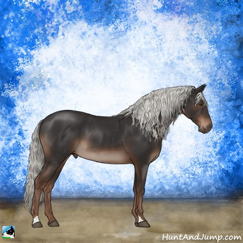 Horse Color:Liver Chestnut Mushroom 