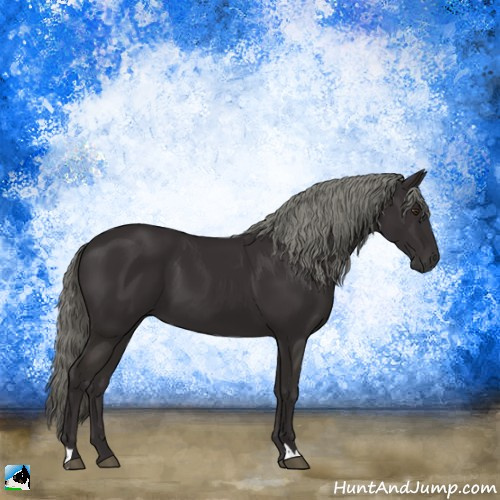 Horse Color:Liver Chestnut Mushroom