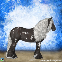 Horse Color:White Spotted Liver Chestnut Mushroom Rabicano