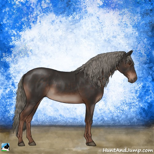 Horse Color:Liver Chestnut Mushroom Sabino 