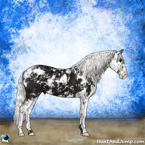 Horse Color:Liver Chestnut Ice Mushroom Sabino 