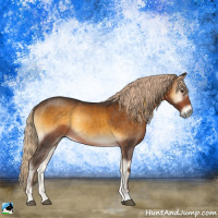 Horse Color:Chocolate Palomino Onyx Mushroom Sabino