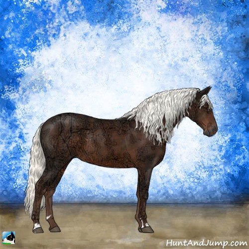 Horse Color:Liver Chestnut Ice Mushroom Sabino 