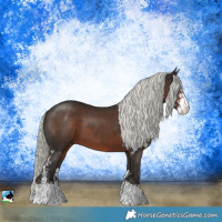 Horse Color:Liver Chestnut Mushroom Sabino 