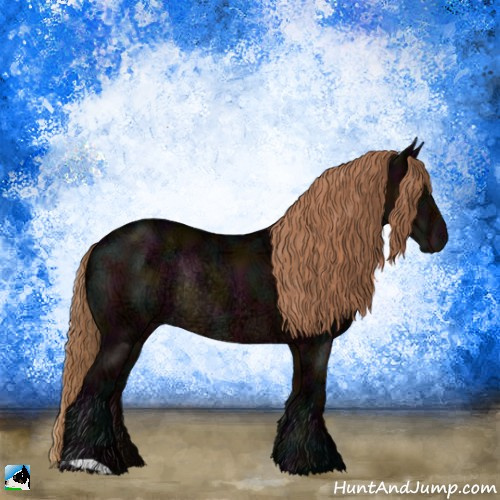 Horse Color:Midnight Liver Chestnut Ice Rabicano 
