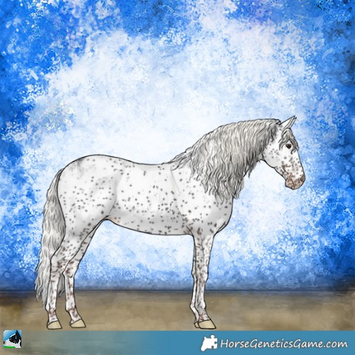 Horse Color:Liver Chestnut Mushroom Sabino